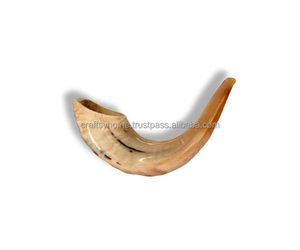 Holesale am's Orn oliolished hohofar/atatoural hofar / Shofar anuanufacturer Latest Orn hohofar para la venta - Product Image 1