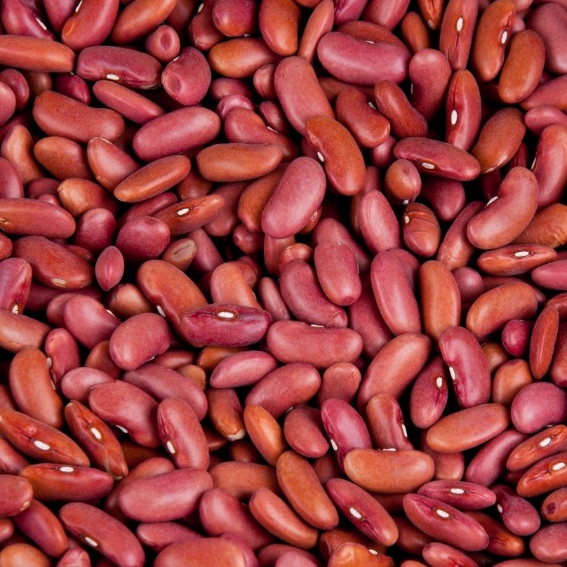 Beansページ Organic Pinto Beans Sugar Beans / Kidney Beans / Red Kidney Beans