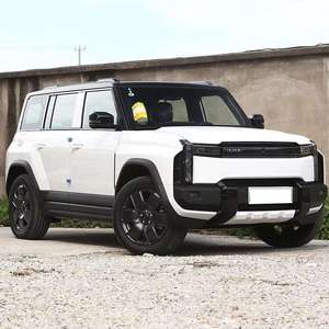 2025 03 T 4WD รุ่นระยะไกลพิเศษ 5 ประตู 5 ที่นั่ง รถ SUV ขนาดเล็กพลังงานไฟฟ้าล้วน สหรัฐอเมริกา มีสินค้าในสต็อก - Product Image 6