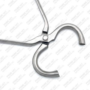 Probador de pezuña de caballo de acero inoxidable Premium de Prime vet Herramienta de prueba de pezuña de herrador reutilizable redonda grande. - Product Image 3