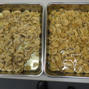 MUSHROM DE PAJA EN CONSERVAS 100% MUSHROM FRESCA PROVEEDOR DE VIETNAM CON PRECIO BARATO - Product Image 1