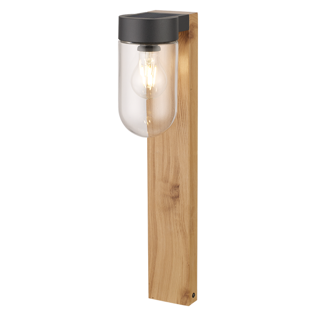 สีน้ำตาล