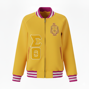 Veste en molleton de baseball Delta Sigma Theta de haute qualité 1913, broderie en chenille, lettres grecques, fermeture éclair, fabricant sur mesure - Product Image 4