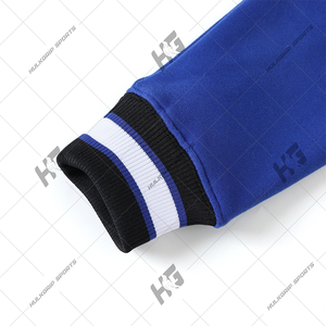 Sudadera con Parche de Chenilla Personalizado de Phi Beta Sigma con Letras Griegas, Unisex, para Hermandades y Fraternidades Universitarias - Product Image 5