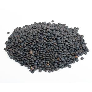 Lentilles noires séchées biologiques de haute qualité, qualité supérieure, emballage en vrac, riches en nutriments, pour la vente en gros - Product Image 2