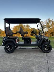 Tout nouveau moteur Evolution D5 4-Plus Golf Cart 4 - Product Image 6