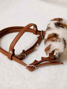 High Quality Genuine <b>Leather</b>/<b>Synthetic</b> <b>Leather</b> Customizable western Horse Bridle for Riding Equestrian Use OEM Service Custom - Product Image 6