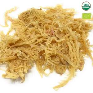 PURE SEAMOSS CLEAN <b>LABEL</b> MARINE SUPERFOOD FOR IMMUNE SUPPORT AND NATURAL <b>PLANT</b> BASED WELLNESS - Product Image 3
