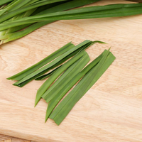 Haut Pandanus Amaryllifolius du Viet Nam Feuilles de Pandanus fraîches Feuille de Pandan congelée
