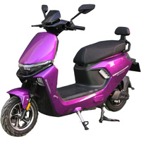 Moto de tourisme pour adultes 1000W 60V20Ah avec freins à disque avant et à tambour arrière, 45 km/h, violette