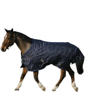 Classic 600D Turnout <b>Rug</b> - Product Image 1
