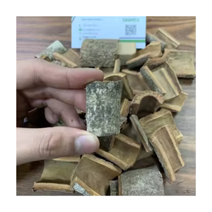 Precio Excepcional para Importación y Exportación de Canela/Cassia Vietnamita Premium 100% de la Provincia de Yen Bai, Corte Cuadrado, 10 kg/1 caja, TINIMEX - Product Image 1