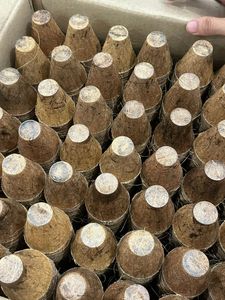 หม้อใยมะพร้าวแขวนธรรมชาติ - หม้อใยมะพร้าวคุณภาพสูงสําหรับดอกไม้ธรรมชาติ 100% จากเวียดนาม - Product Image 4