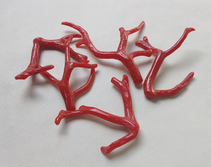 CORAL .. 54 Cts 100% Piedra preciosa de coral italiano natural Rama suelta Pulido AA + Calidad Palo DE CORAL ROJO Piedra preciosa lisa - Product Image 2