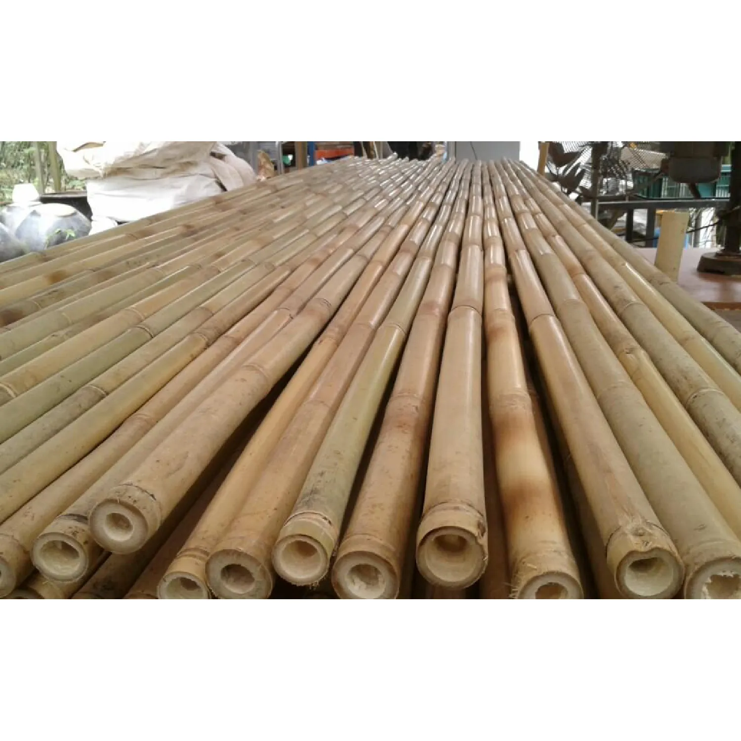 Hoge Kwaliteit Vietnam Bamboe Palen Stok Tropische Natuurlijke Bamboe Behandeld Voor De Bouw Hete Verkoop