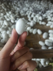 Offre Premium Vietnam Soie Cocoon Pur Naturel Qualité Supérieure Usine Pas Cher En Gros Exportation Directe - Product Image 2