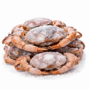 Wholesale Frozen <b>Crab</b> IQF Seafood Supplier / Quality <b>Crab</b> Wholesale Export - Product Image 1