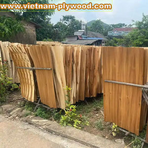 Proveedor de Chapa de Madera de Acacia y Eucalipto de Vietnam, Mejor Precio, Exportador Filipino HCPLY, Aplicación en Almacenes, 1 Año de Garantía, 18% - Product Image 2