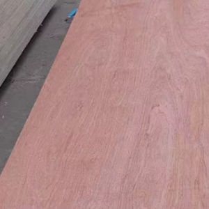 Contreplaqué commercial avec face en bintangor, design moderne, utilisation en appartement, taille 1220x2440 - Product Image 1