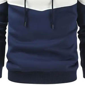 Sweat-shirt à capuche pour hommes ODM 100% coton mélangé Basics Sweat-shirt d'hiver avec logo personnalisé et motif éponge lourd numérique - Product Image 3