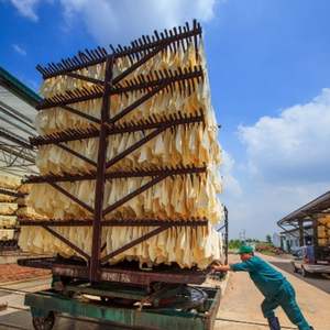 แผ่นยางธรรมชาติคุณภาพสูง ยี่ห้อ RSS 1 ผลิตโดยโรงงานเวียดนามโดยตรง แบรนด์ Phuc Thinh เวียดนาม มีความเสถียร - Product Image 1
