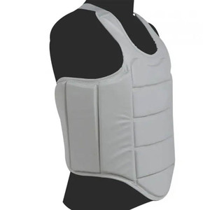 Protège-poitrine de karaté, coussin de protection absorbant les chocs pour l'entraînement aux arts martiaux, protège-poitrine de karaté, protège-poitrine d'entraînement - Product Image 1