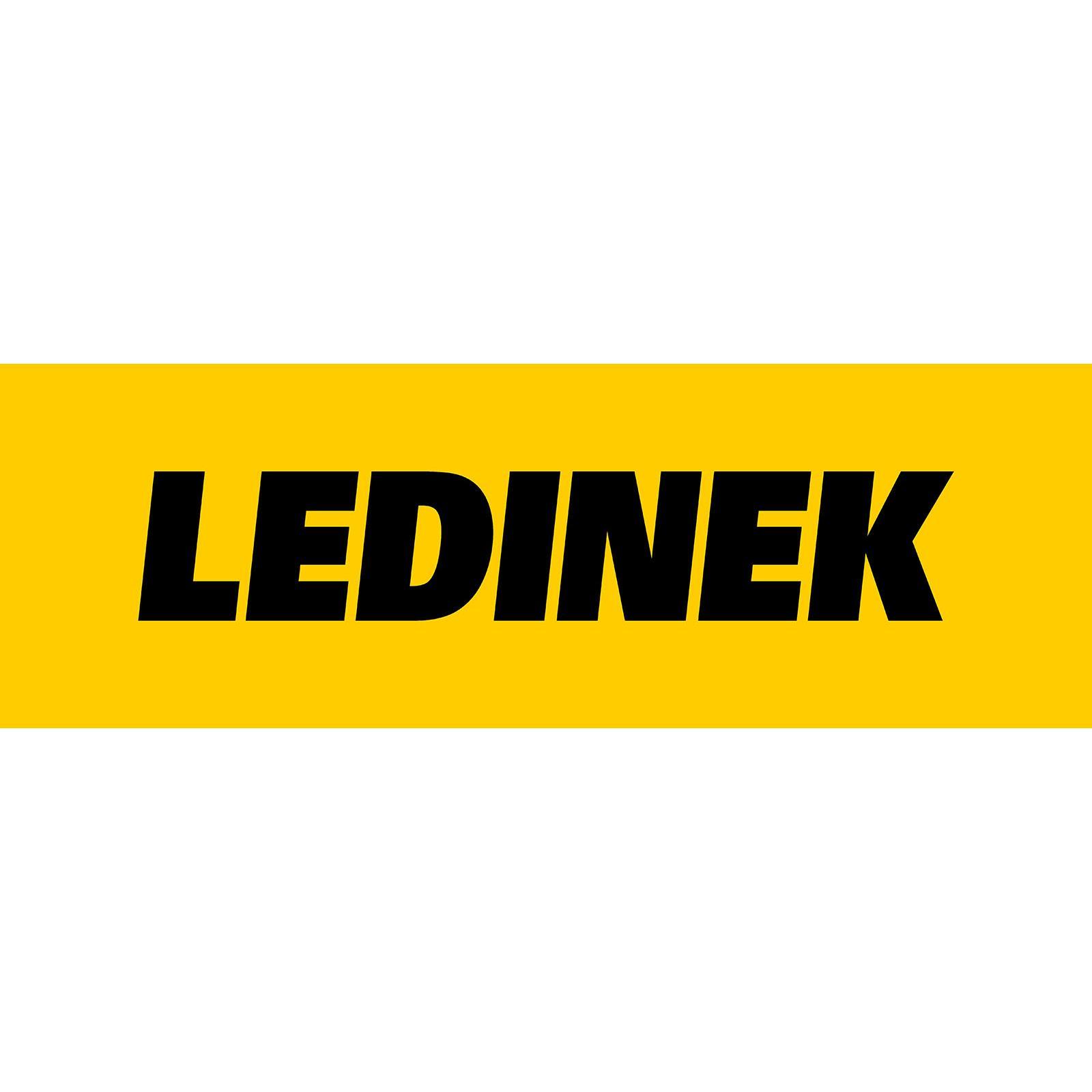 Ledinek Maschinen und Anlagen GmbH logo