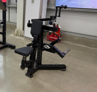 Machine de musculation pour les deltoides arrière, type suspension de plaques de poids, pour exercices de levée des haltères en position accroupie, vente en gros usine BN Chine