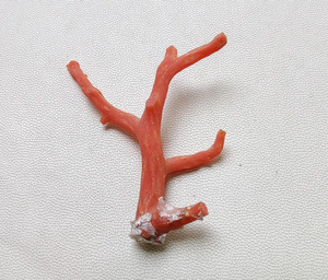 ¡Coral! Piedra preciosa de Coral italiano natural 100%, palitos de Coral rojo, calidad AAA Coral no pulido en bruto, piedra preciosa de palos de Coral marino - Product Image 1