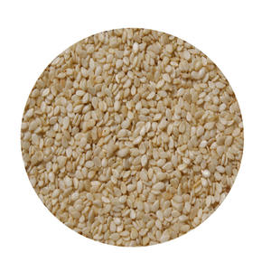 White Corn <b>Maize</b> 100% Natural Quality Corn for Human Consumption and Poultry Animal <b>Meal</b> High Quality Customized Packing OEM - Product Image 4
