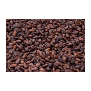 Sun Dried Raw Cocoa Beans from Cote D Ivoire | Cocoa Beans Suppliers | Manufacturers | Wholesalers Buckwheat