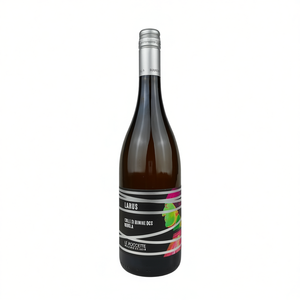 Italian White <b>Wine</b> Terre Dei Malatesta Larus Rebola DOC Fresh Mineral Taste 6 Bottles Direct Italy's Colli Di Rimini Vineyards - Product Image 2