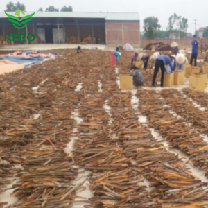 Cassia ใบอบเชยอบเชย,ฤดูกาลใหม่ขายส่ง - Product Image 6