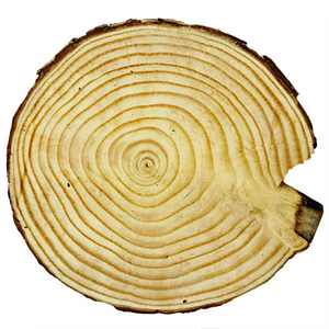 Wood Bone Inlay Round Coasters Custom Wood Coaster <b>Set</b> with Handmade Bone and Brass Inlay Made in India - Product Image 1