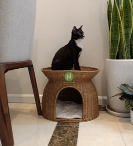 Meilleure maison confortable en rotin pour animaux de compagnie Maison élégante et écologique pour chats et petits chiens Parfait pour le confort et la décoration intérieure mignonne - Product Image 1