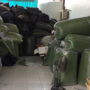ต้นหอมแห้งปริมาณมากขายทั้งต้นหอมแห้งเวียดนามต้นหอมแห้ง - Product Image 3