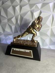 Premio Trofeo de Oro-Grabado personalizado-Inserto personalizado - Product Image 4