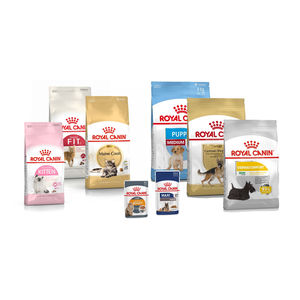 Nourriture pour chiens adultes de taille moyenne Royal Canin 15 kg pour races moyennes de 11 à 25 kg de poids, de 12 mois à 7 ans, avec une nutrition équilibrée, vente en gros - Product Image 3