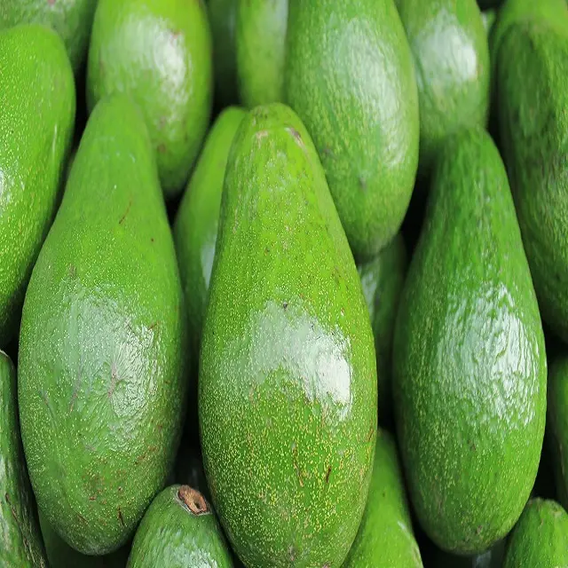 Cheap Avocado Hass Fresh Avocado from Mexico Green Tropical Style Color Weight Origin Wholesale Fresh Premium Avocado