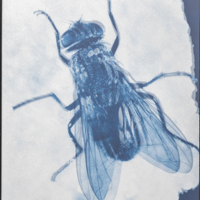 CIENCIA Y FABRICACIÓN QUIRÚRGICA PRUEBAS DE VISIÓN OFTÁLMICA AYUDAS PRUEBAS ESTÉREO PRUEBA DE MOSCA ESTÉREO ENVÍO RÁPIDO GRATIS...
