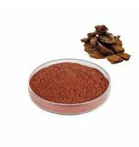 Extrait d'écorce de pin certifié biologique, pureté 99%, proanthocyanidines, poudre végétale naturelle, qualité alimentaire, extrait par solvant, OEM - Product Image 1