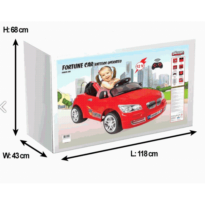 Fortuna doppia batteria auto pilsan batteria modello 05 244 - Product Image 3