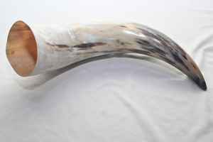 100% naturel poli corne de buffle corne de vache Style nautique Animal décoration noël verre à boire fabriqué à la main artisanat naturel - Product Image 6