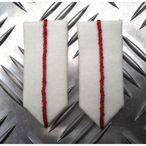 Insignias de Cuello de Gorget Azul de Alta Calidad con Detalles de Hoja Plateada, Botones Lisos y Cierres de Clip - Product Image 6