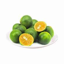 น้ำ calamansi แช่แข็งที่มีส่วนผสมจากพืชสำหรับการสนับสนุนภูมิคุ้มกันตามธรรมชาติและสุขภาพในชีวิตประจำวัน - Product Image 2