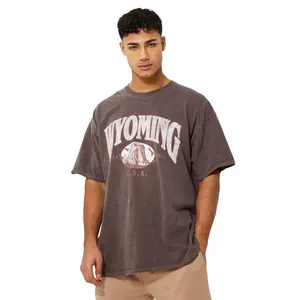 Erkek o-boyun erkek puf baskılı t-shirt toptan stokta özel baskılı en kaliteli kısa kollu pamuk Tee