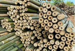 (VENTA CALIENTE) Pajitas de bambú natural, reutilizables, respetuosas con el medio ambiente de madera de bambú 100%/Precio barato de Vietnam/DELTA VIET - Product Image 6