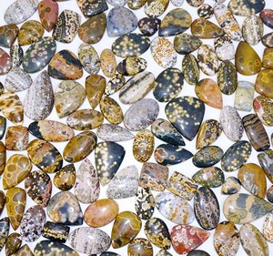 Natural Ocean Jasper Loose Cabochon Natural Ocean Jasper Piedras preciosas Venta al por mayor Curación Tumbled Piedras preciosas sueltas Fabricación de joyas - Product Image 3