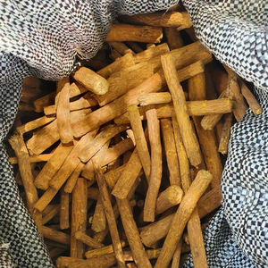 Massularia Acuminata - Product Image 2