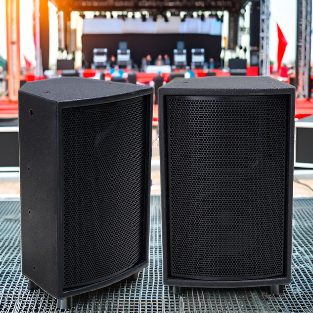 Pro Audio 6/8/10/12/15 Inch Speakers Professional